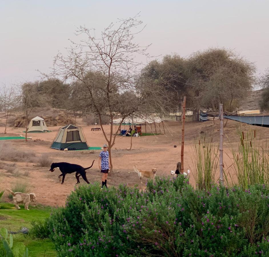 Rak Glamping Ras al-Khaimah Exterior photo