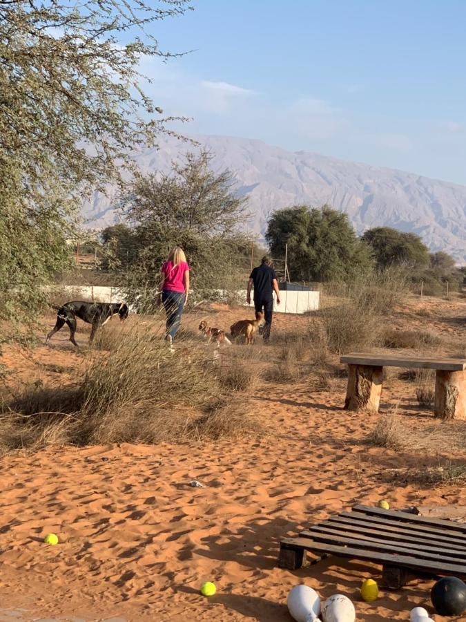 Rak Glamping Ras al-Khaimah Exterior photo